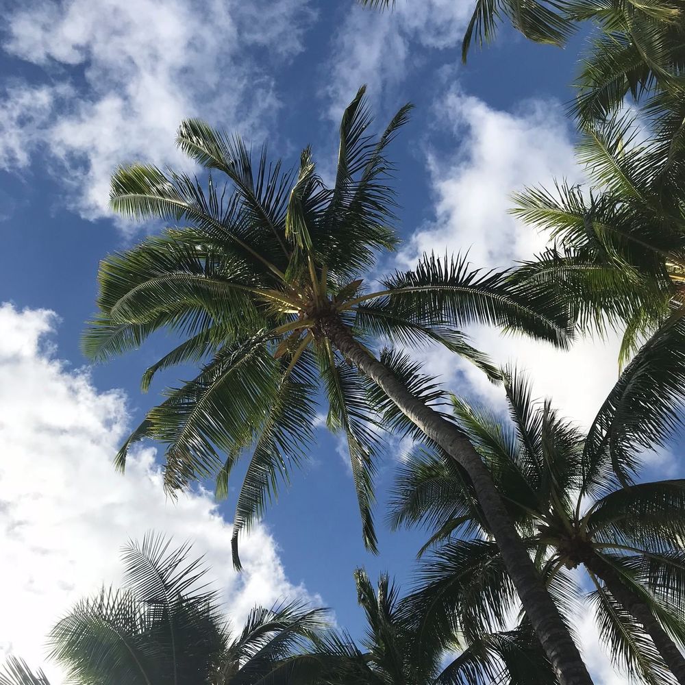 Meet your Posher, Fabi